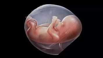 【医院纪实】“带壳分娩”——早产儿的金钟罩